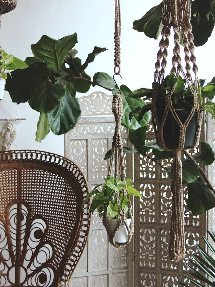 Coffee Brown Plant Hanger - Ideal for Trailing Houseplants for wholesale by Soul of the Party