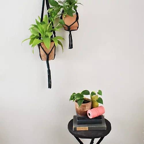 Studio Jane – Großhandel Pflanzenampel – Mini Pflanze Hängematte1
