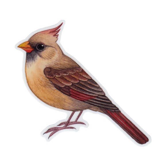 Northern Cardinal (Female) Vinyl Bird Sticker for wholesale by Kate Dolamore Art