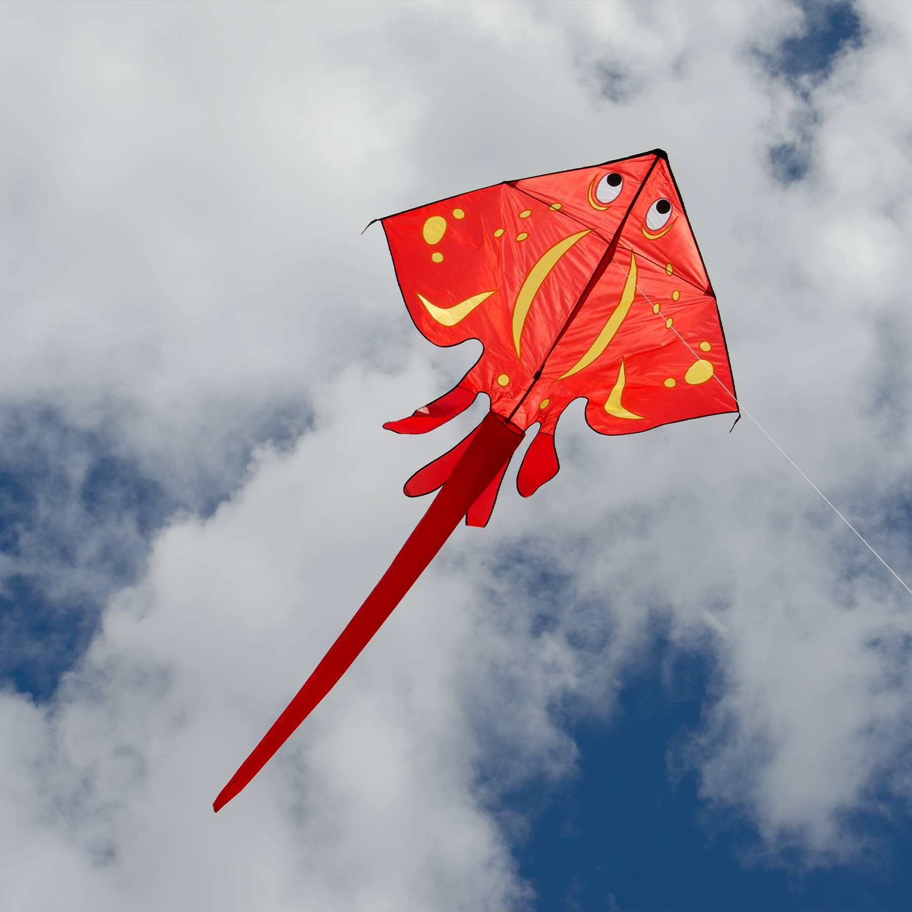 In the Breeze, LLC. - Vente Cerf-volant - Cerf-volant raie rouge1