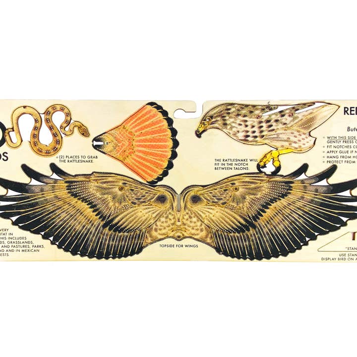 JCR WORK - Vente Mobiles - OISEAUX : RED TAILED HAWK2