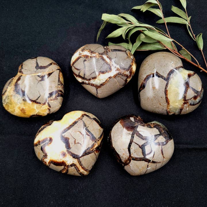 Septarian Hearts 1 kg for wholesale by Funky Stuff