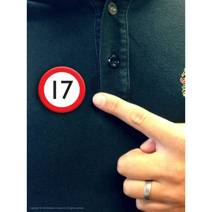 Brainbox Candy - Wholesale Lapel pin/button - Funny Metal Pin - 17th Warning Birthday Badge1