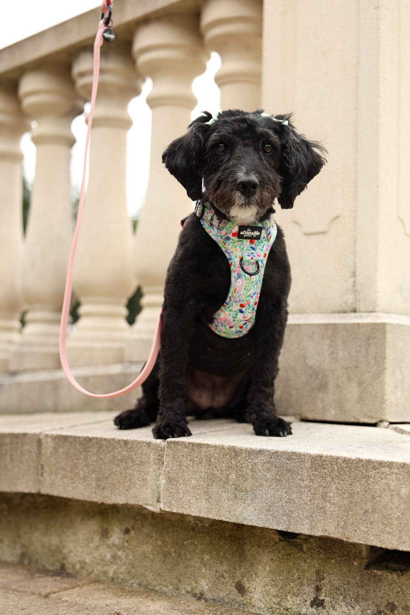 The aDoraBle Pooch Company - Wholesale Tuig voor huisdieren - Hond - Hike & Go Lite™ Harnas - Wildflower Meadow20