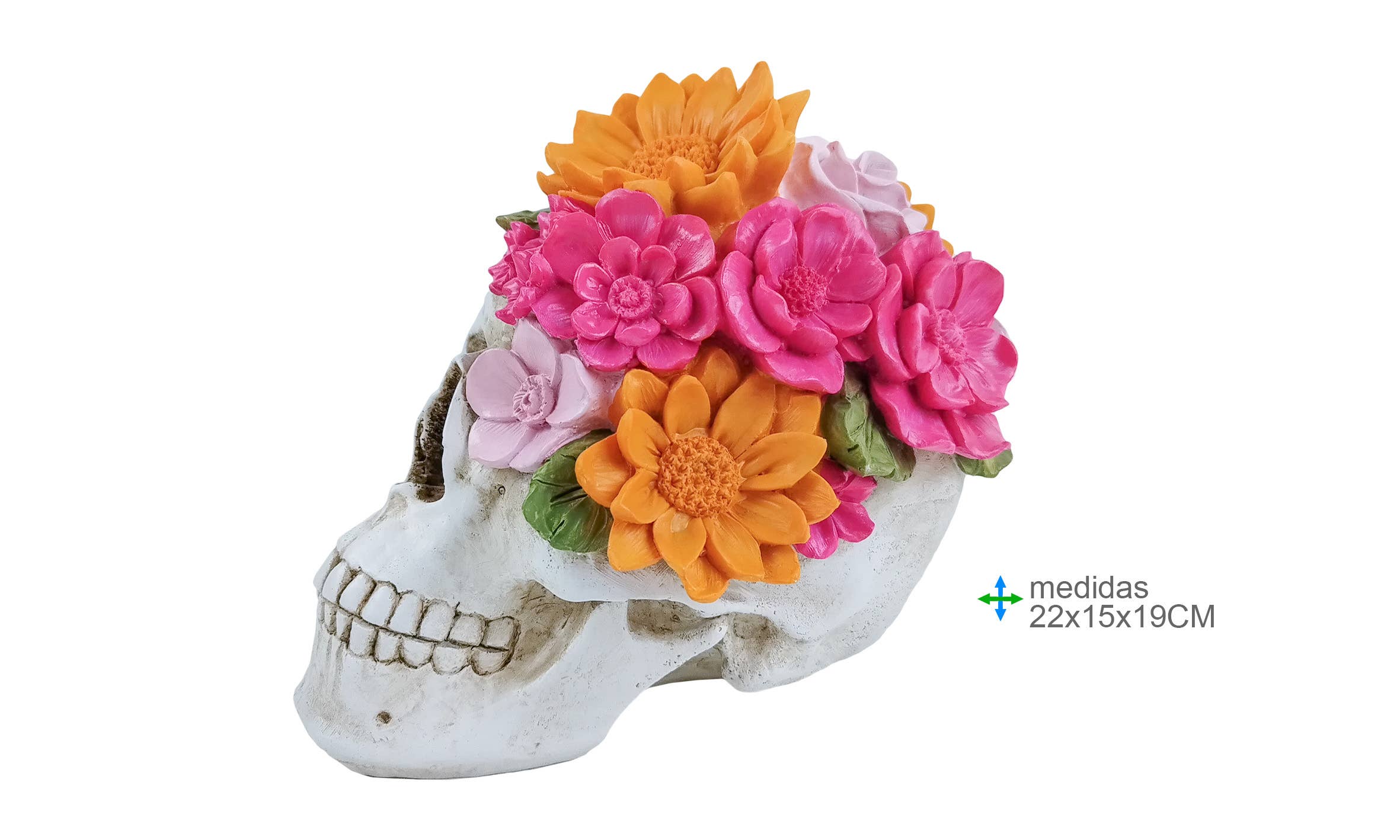 Esoterica Arte - Wholesale Decorative Figurine - Resin Skull 22 x 15 x 19 cm0