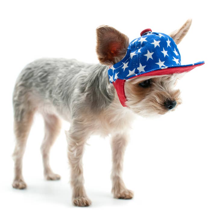 Dogo Pet - Wholesale Pet Hat - Dog - Star Hat2