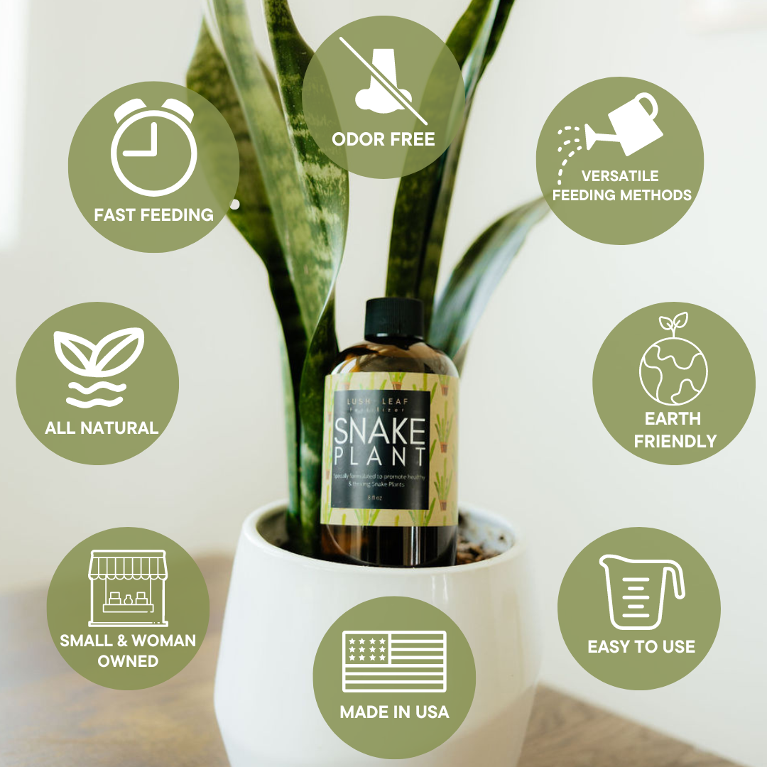 Lush Leaf – Fertilizante por atacado – Alimento para plantas de serpente2