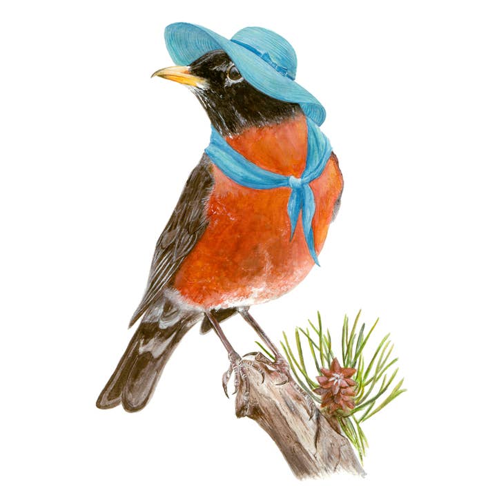 Birds with Hats - Wholesale Art print - Print No.18 - "American Robin with Floppy Hat"1