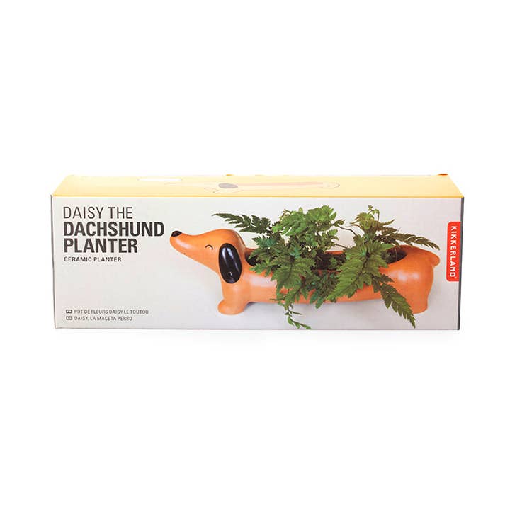 Daisy The Dachshund Planter for wholesale by Kikkerland Design Inc