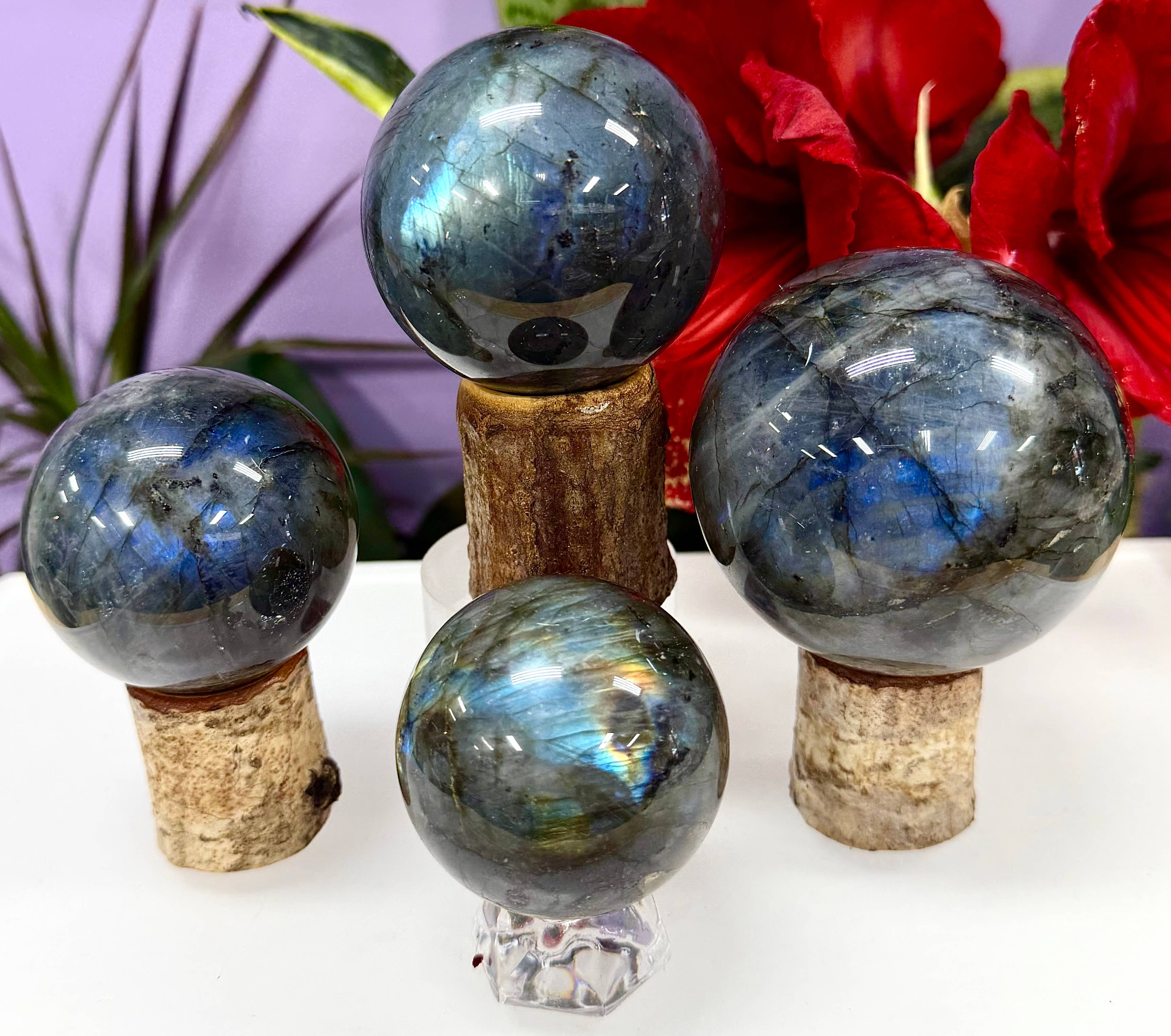 KayleeNYC - Wholesale Spiritual Stone/Crystal - 3-4 Pcs Natural Labradorite Sphere Crystal Ball healing 2