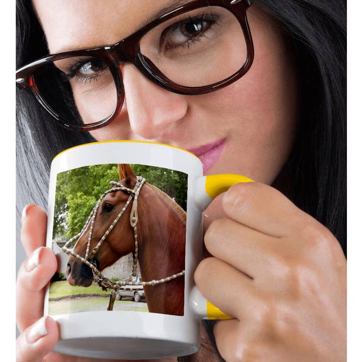 3dRose - Wholesale Coffee Mug - 3dRose, Argentina, Cordoba, Horse, gaucho cowboy - SA01 JRI0044 - Jutta Riegel, Mug1