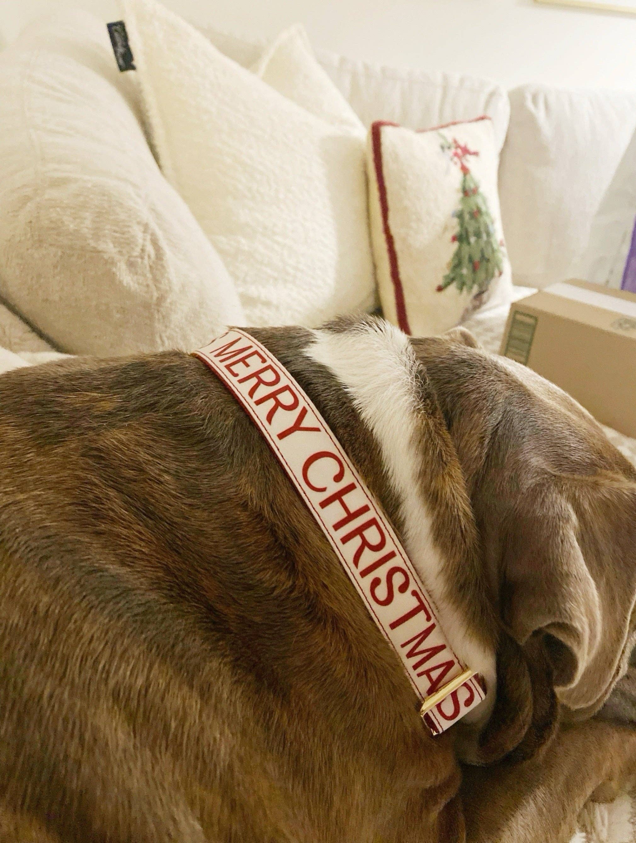 Roxy & Co. Canine Accessories - Wholesale Pet Collar - Dog - MERRY CHRISTMAS MARTINGALE DOG COLLAR3