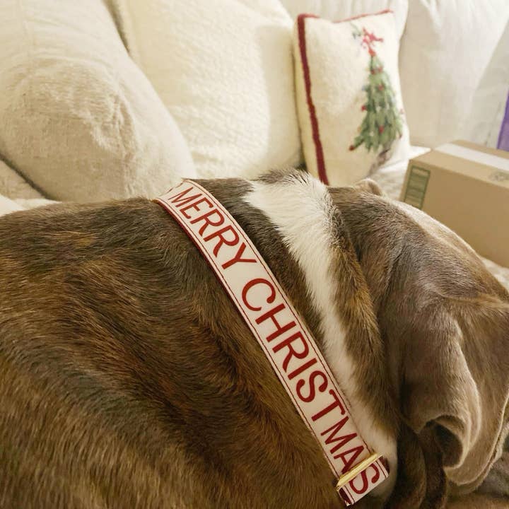 Roxy & Co. Canine Accessories - Wholesale Pet Collar - Dog - MERRY CHRISTMAS MARTINGALE DOG COLLAR3