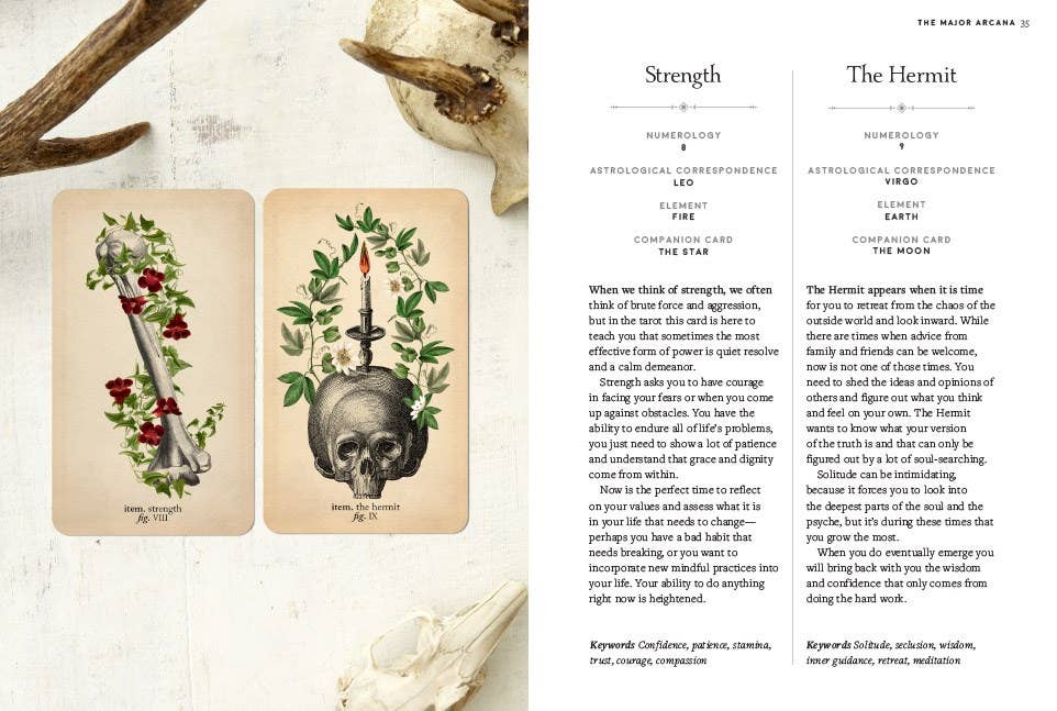 Abrams - Vente Cartes de tarot - Kit de tarot d'anatomie antique2