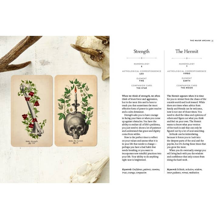 Abrams - Wholesale Tarot Cards - Antique Anatomy Tarot Kit2