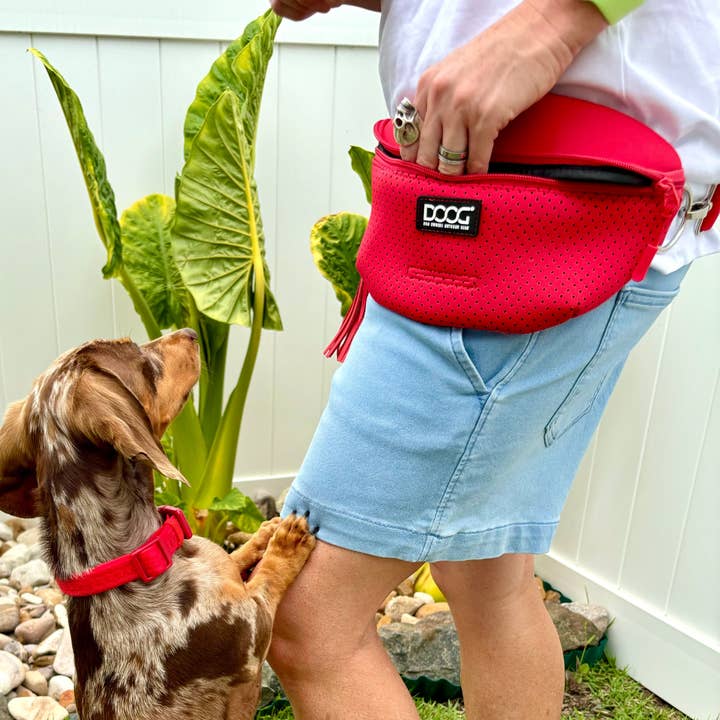 DOOG & Outback Tails & Country Tails - Wholesale Halsband - Hond - Neosport Neopreen Hondenhalsband - Rood