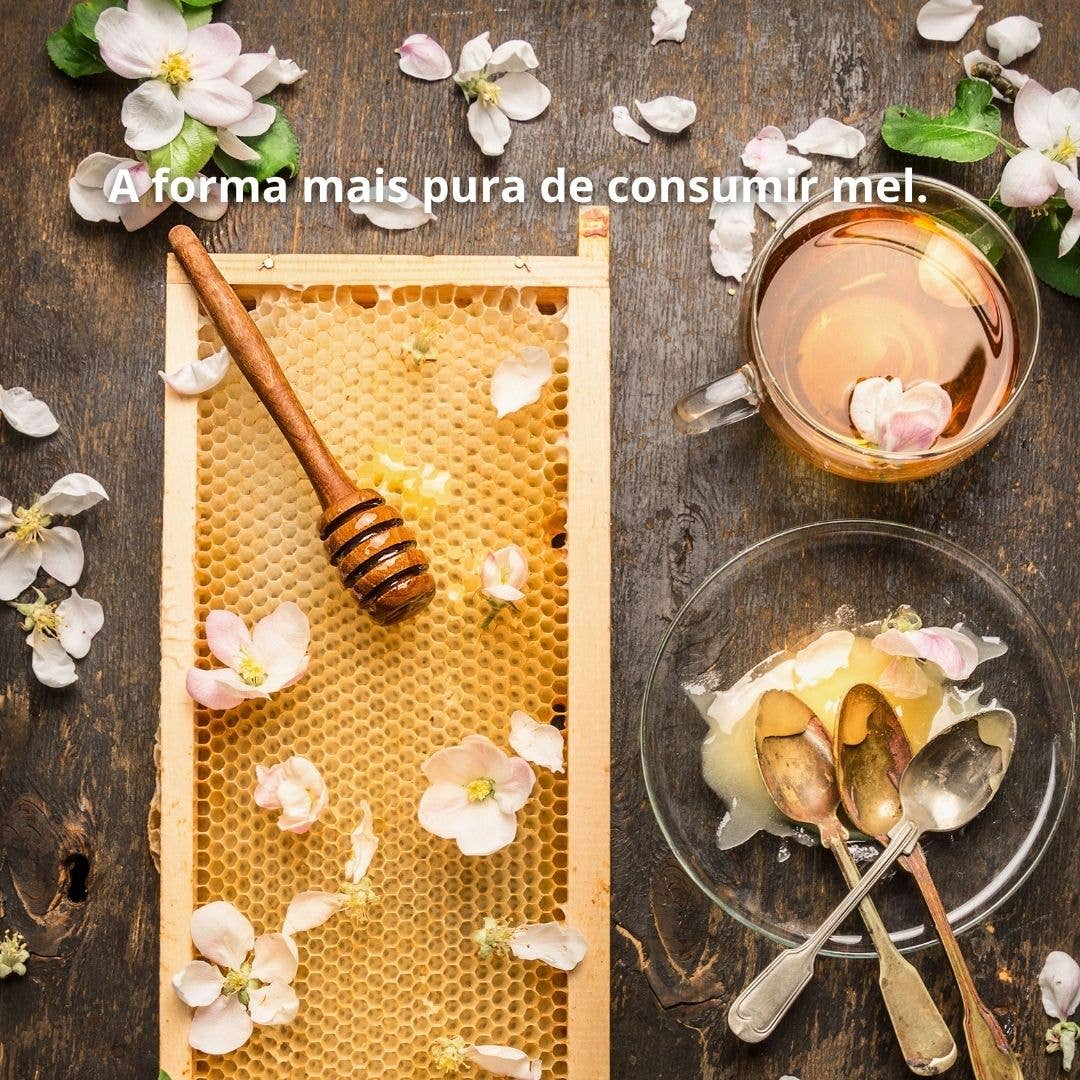 Beesweet - Wholesale Honey - Whole picture of pure honey bean7