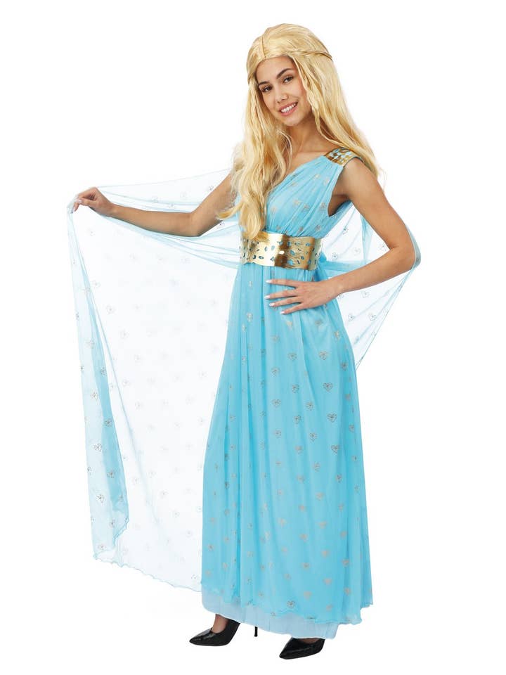 Costume Princesse Médiévale - Bleu - Adulte - S/M pour la vente par P'tit Clown