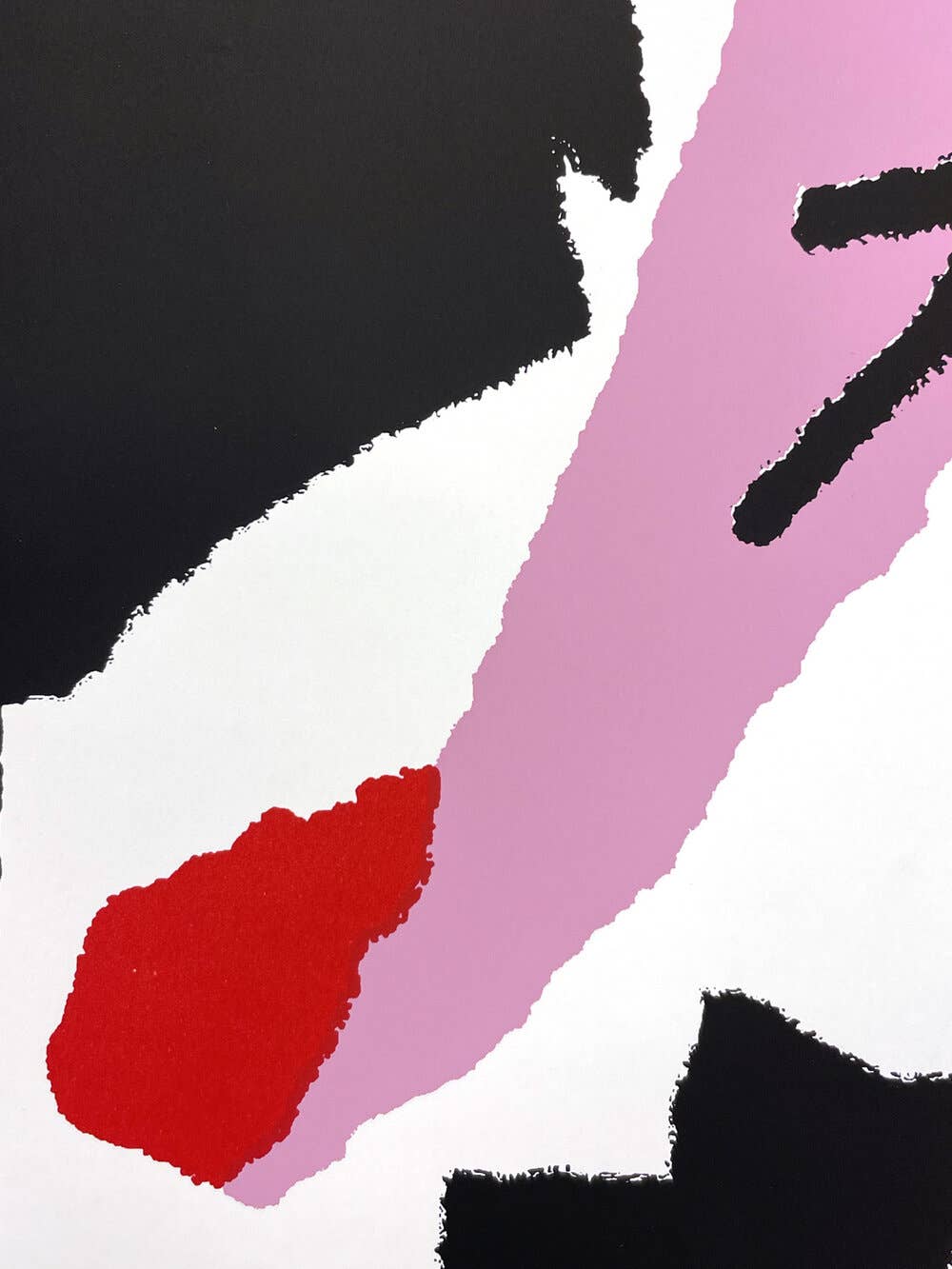 The Jaunt - Vente Affiche d'art - La Virée #047 - Ekta2