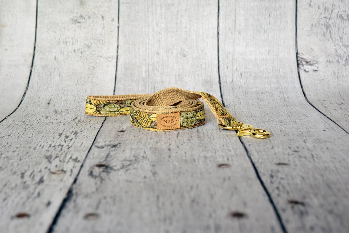 Finnegan’s Standard Goods - Vendita all'ingrosso Collare - Cani - 1» ISOLA FOGLIE DI PIOMBO0