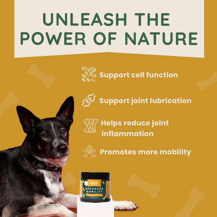 Rusty's Pet Essentials - Wholesale Pet Supplement - Dog - Advanced Mobility - Hip & Joint4