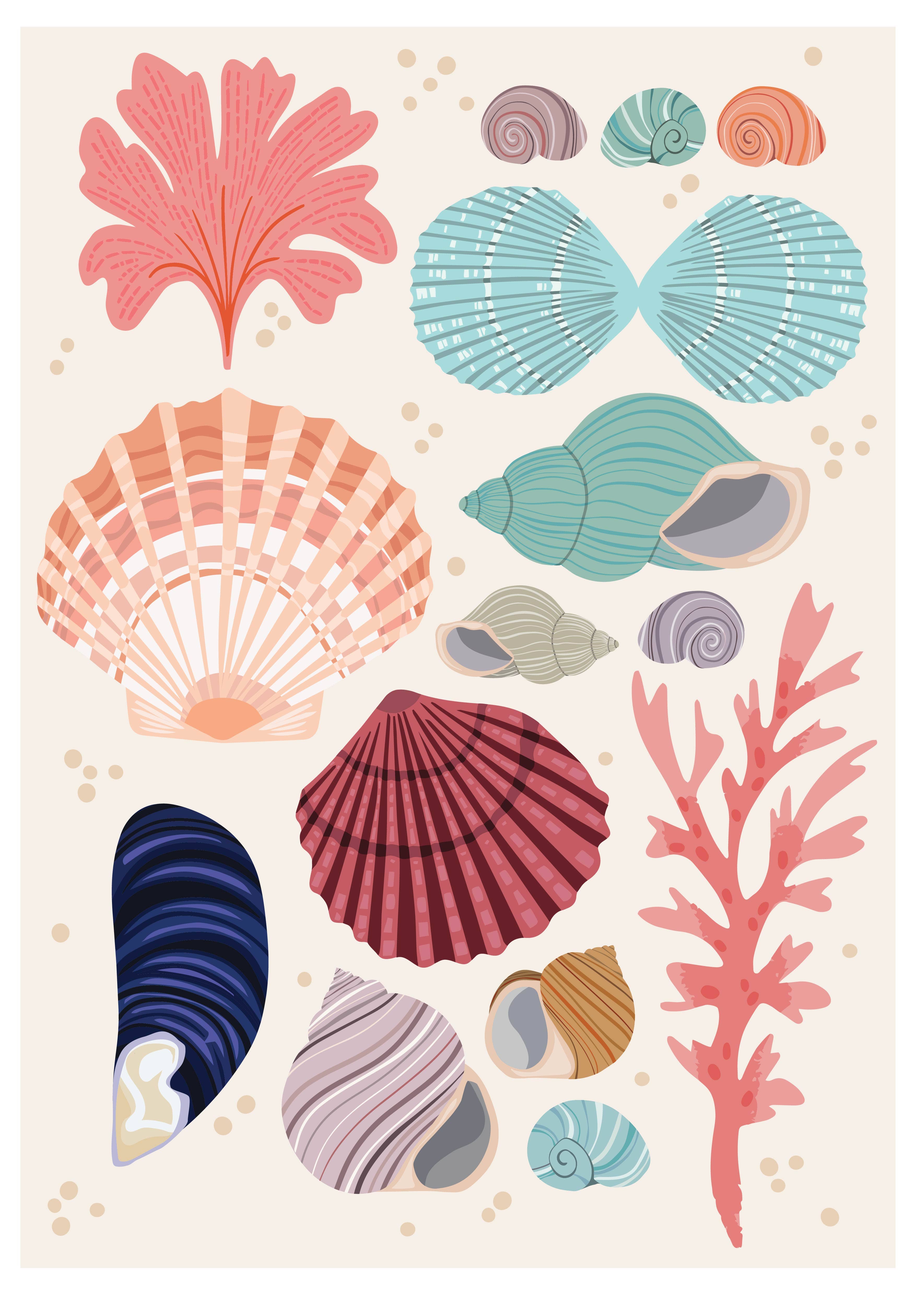 Joanne de Pace Design Studio - Wholesale Art Print - 'Seashells' Seaside Art Print0