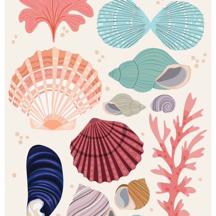 Joanne de Pace Design Studio - Wholesale Art Print - 'Seashells' Seaside Art Print