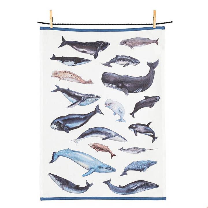 Abbott - Wholesale Tea Towel - Whales Kitchen Towel-20x28"L