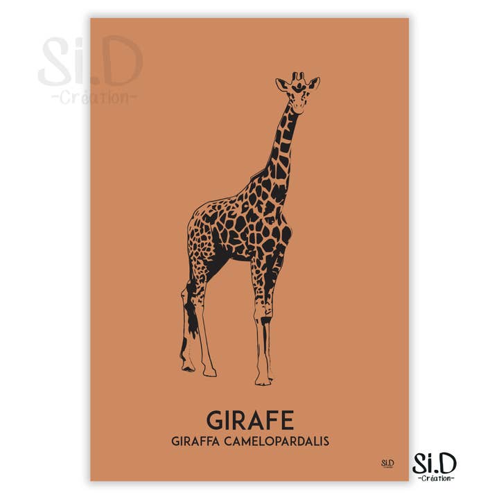 Giraffa per la vendita all'ingrosso da parte di Si.D