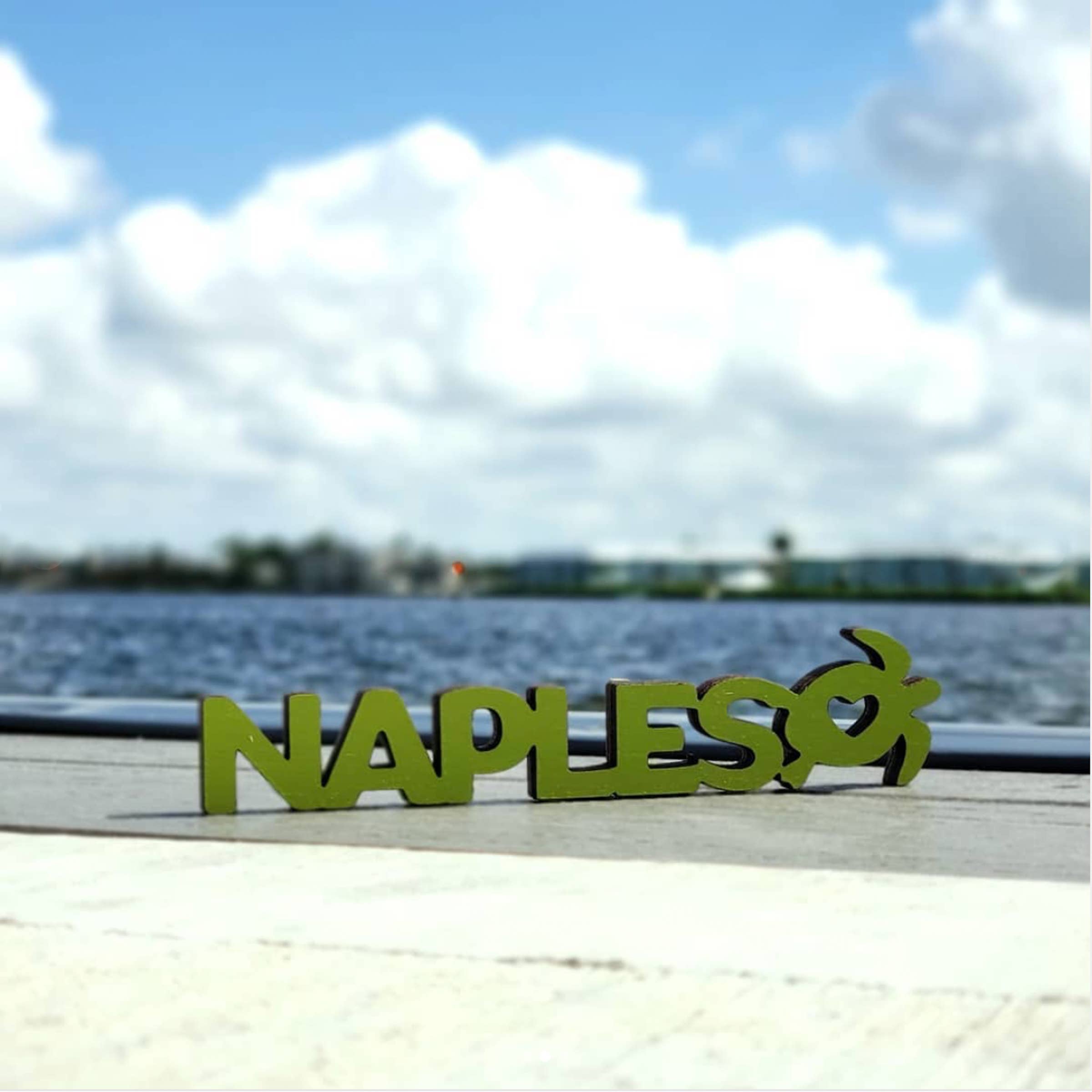 Spunky Fluff - Wholesale Magnet - Custom Tiny Word Magnets, Personalizable Wood Magnets20