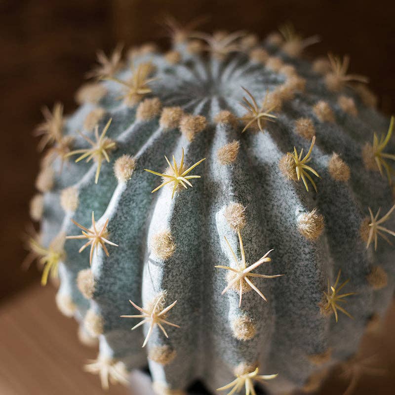 Rustic Reach - Wholesale Artificial Plant - Artificial Potted Cactus Ball9