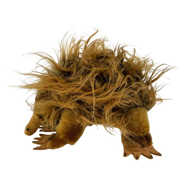 Harry - Echidna - 24 cm per la vendita all'ingrosso da parte di Bocchetta Plush Toys