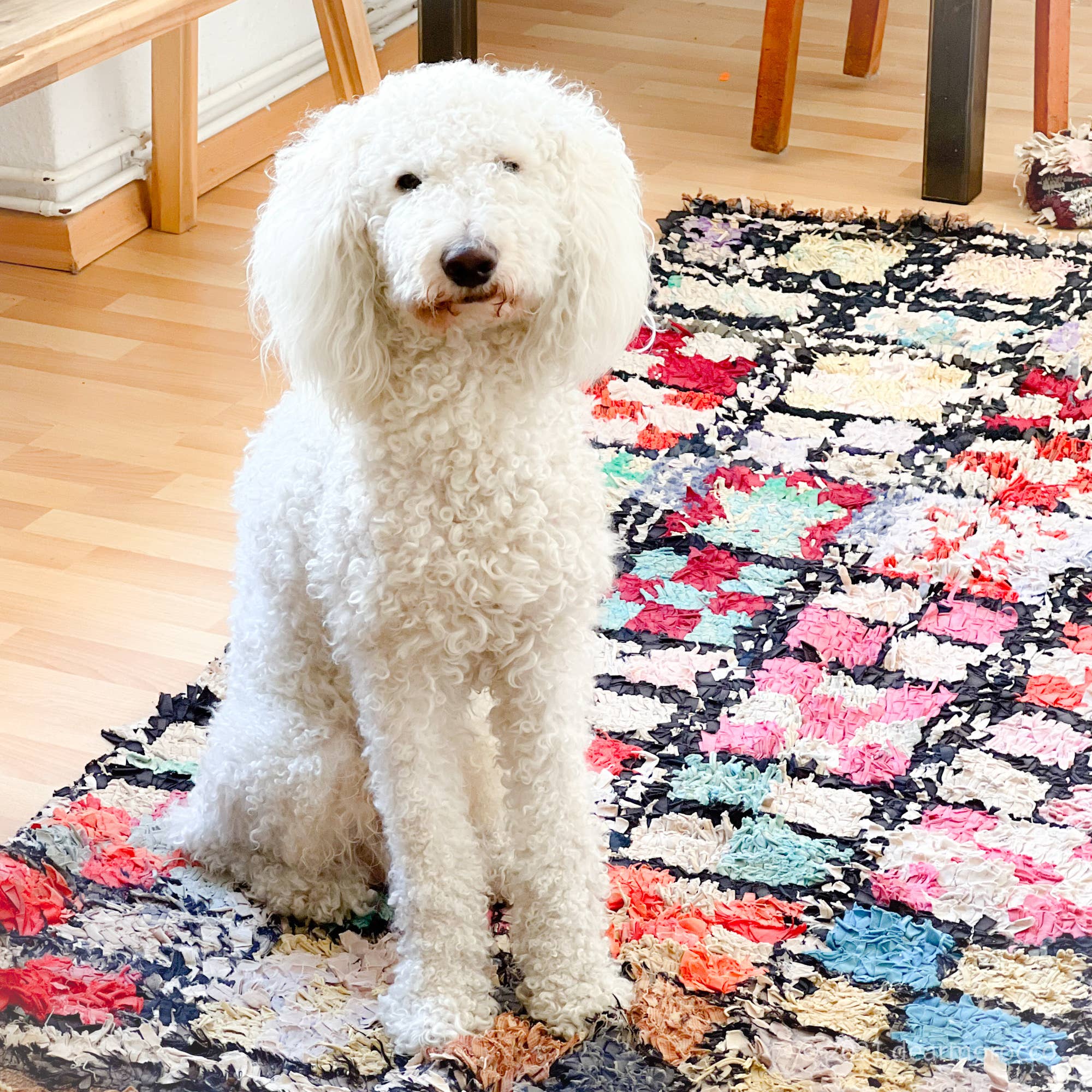 dear Morocco - Wholesale Area Rug - Ready to ship// BOUCHEROUITE RUG //Vintage Moroccan 4