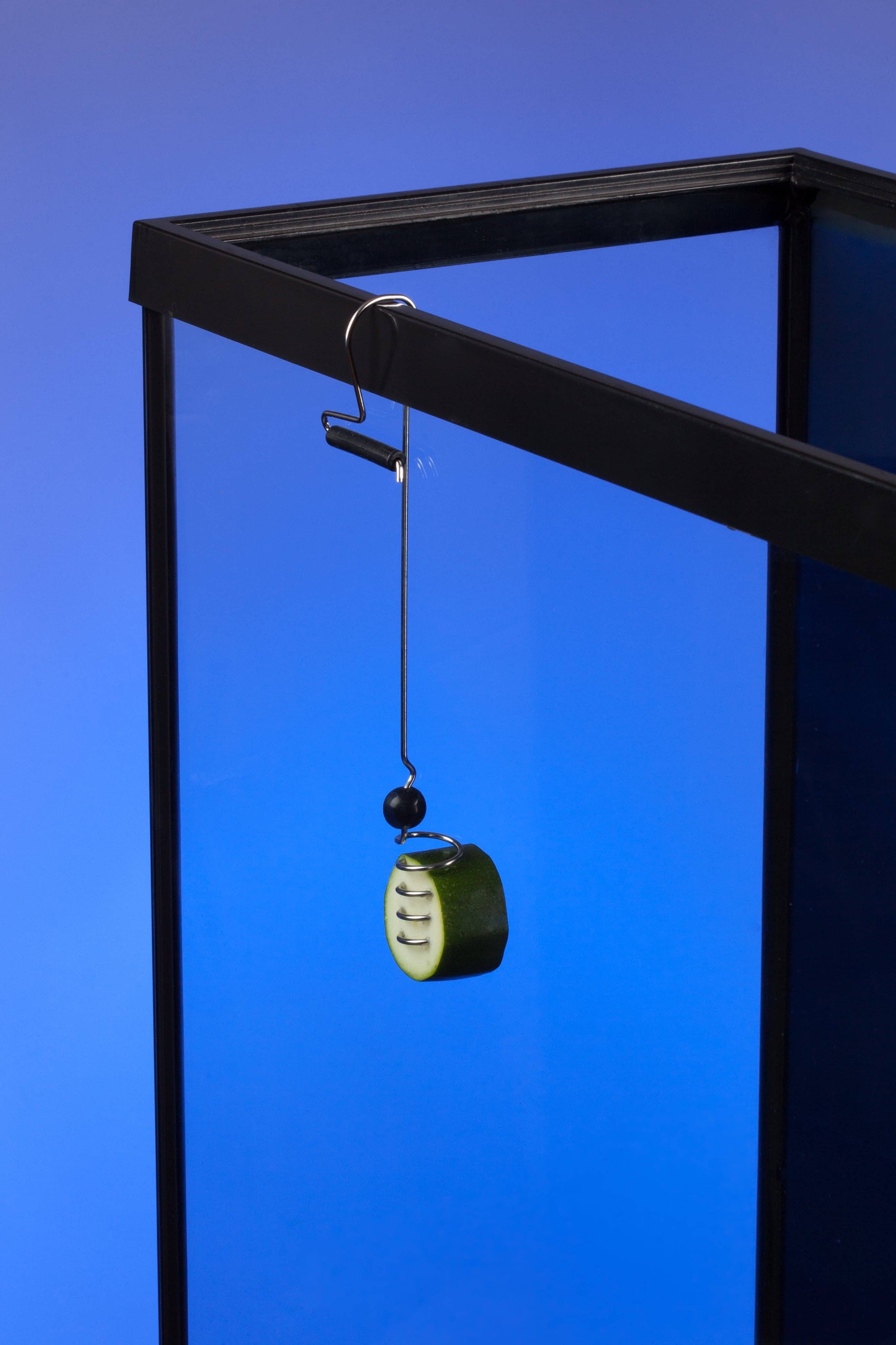 The Pleco Feeder - Wholesale Pet Food - Not Cat/Dog - The Pleco Feeder - CUSTOMER FAVORITE fish/aquarium/pet shops3