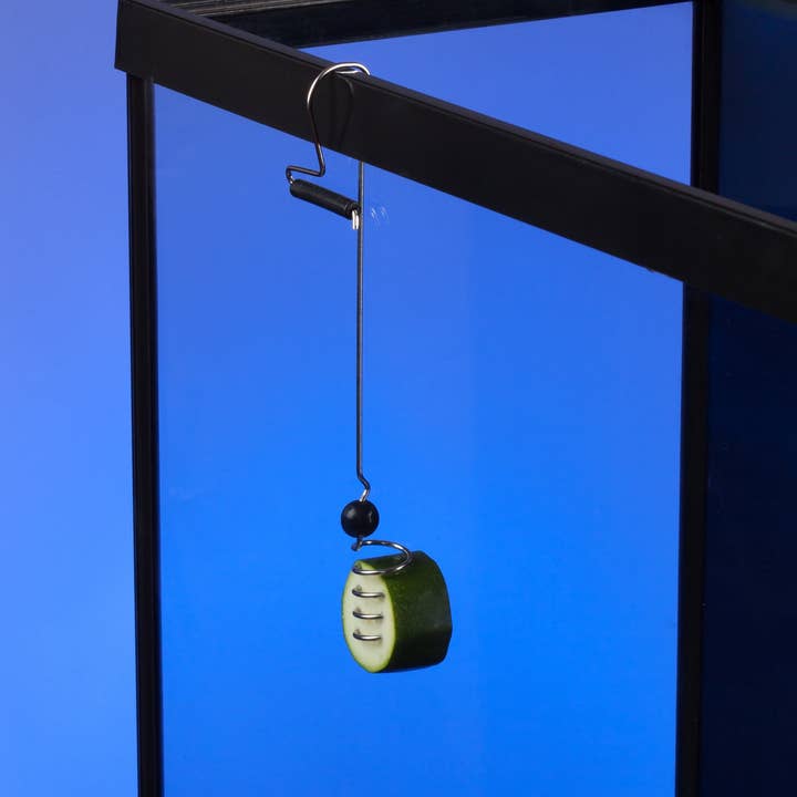 The Pleco Feeder - Wholesale Pet Food - Not Cat/Dog - The Pleco Feeder - CUSTOMER FAVORITE fish/aquarium/pet shops4