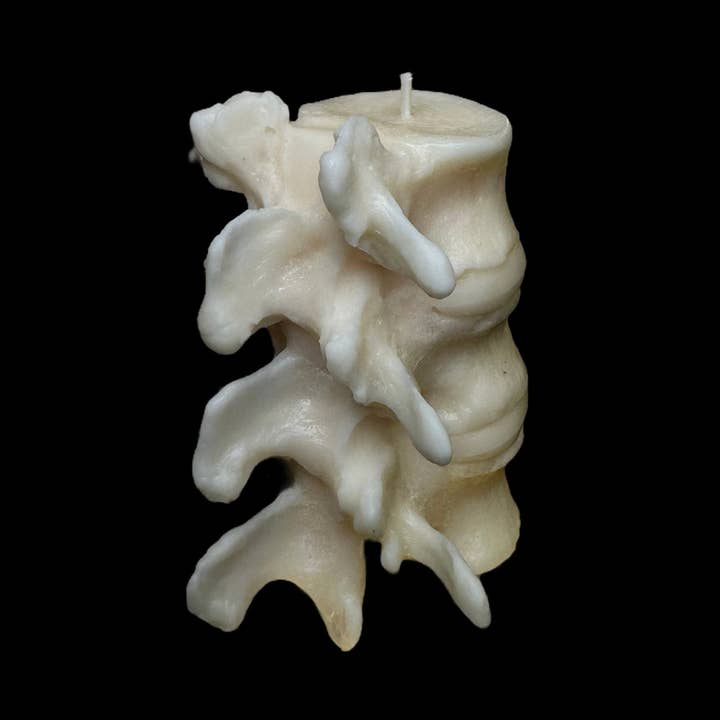 Spine Candle and other Purchase Wholesale fiori e spine scarpe. Free Returns & Net 60 Terms on Faire trending on Faire.