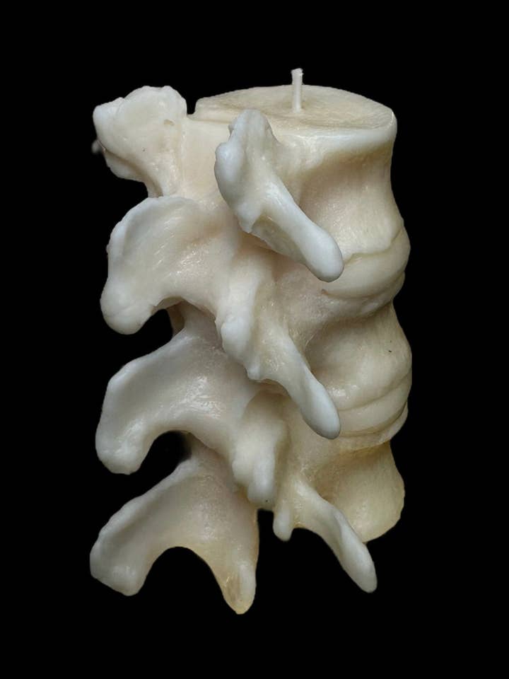 Kaars in de vorm van een anatomisch nauwkeurige wervelkolom voor wholesale door Midnight Studio LA