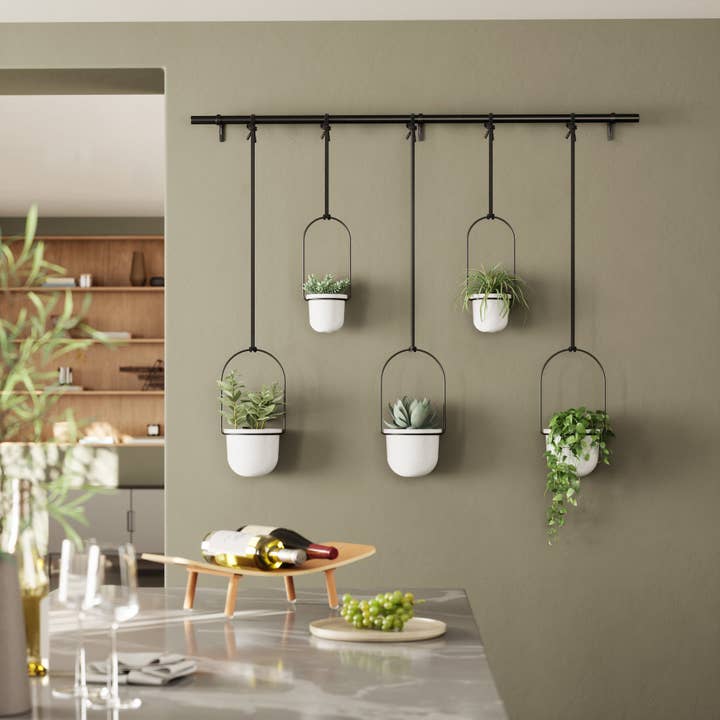 Umbra - Wholesale Hanging Planter - Triflora Hanging Planters, Set of 511