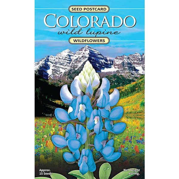 Created By Nature - Wholesale Plant Seeds - Colorado Wild Lupine Wildflower Seed Packet