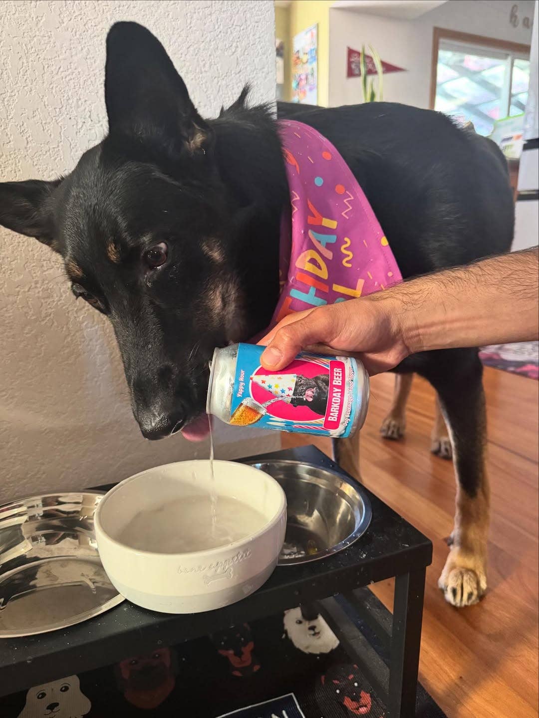 Yappy Hour - Wholesale Pet Treats - Dog - Barkday Beer | 24ct | Watermelon2