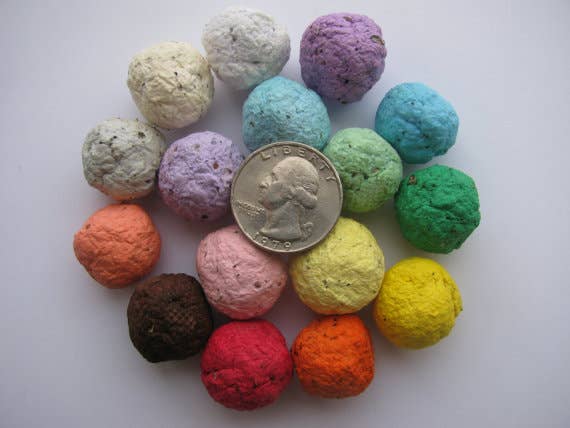 Plantables and Paper - Wholesale Plant Seeds - BULK Wildflower Seed Balls1