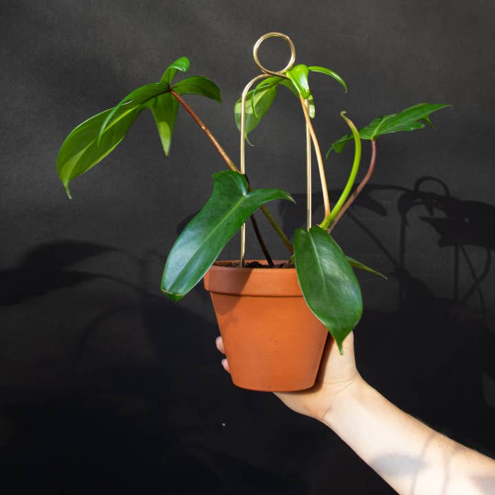 Mini Plant Stake - Pompom - Gold for wholesale by Botanopia - gifts , decor and cards for plant lovers