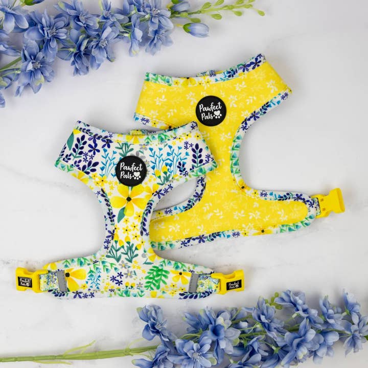 Little Blossom - Harnais réversible pour chien pour la vente par Pawfect Pals