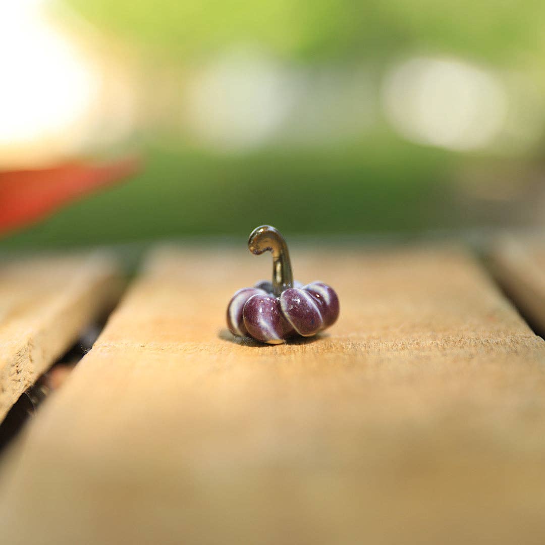 Pantless Potter – wholesale Dekorativt bordsobjekt – Små pumpor i nickelsstorlek och mindre5