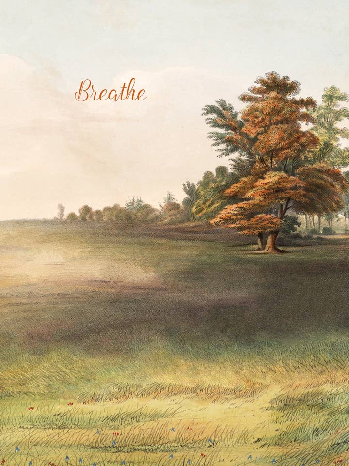 Breathe • Biglietto di auguri 5x7 per la vendita all'ingrosso da parte di P. Flynn Design / Phun House