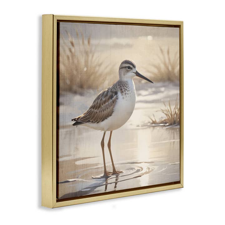 Stupell Industries – wholesale Wall sign – Sunlit Sandpiper in Shallow Water - Framed Wall Art17