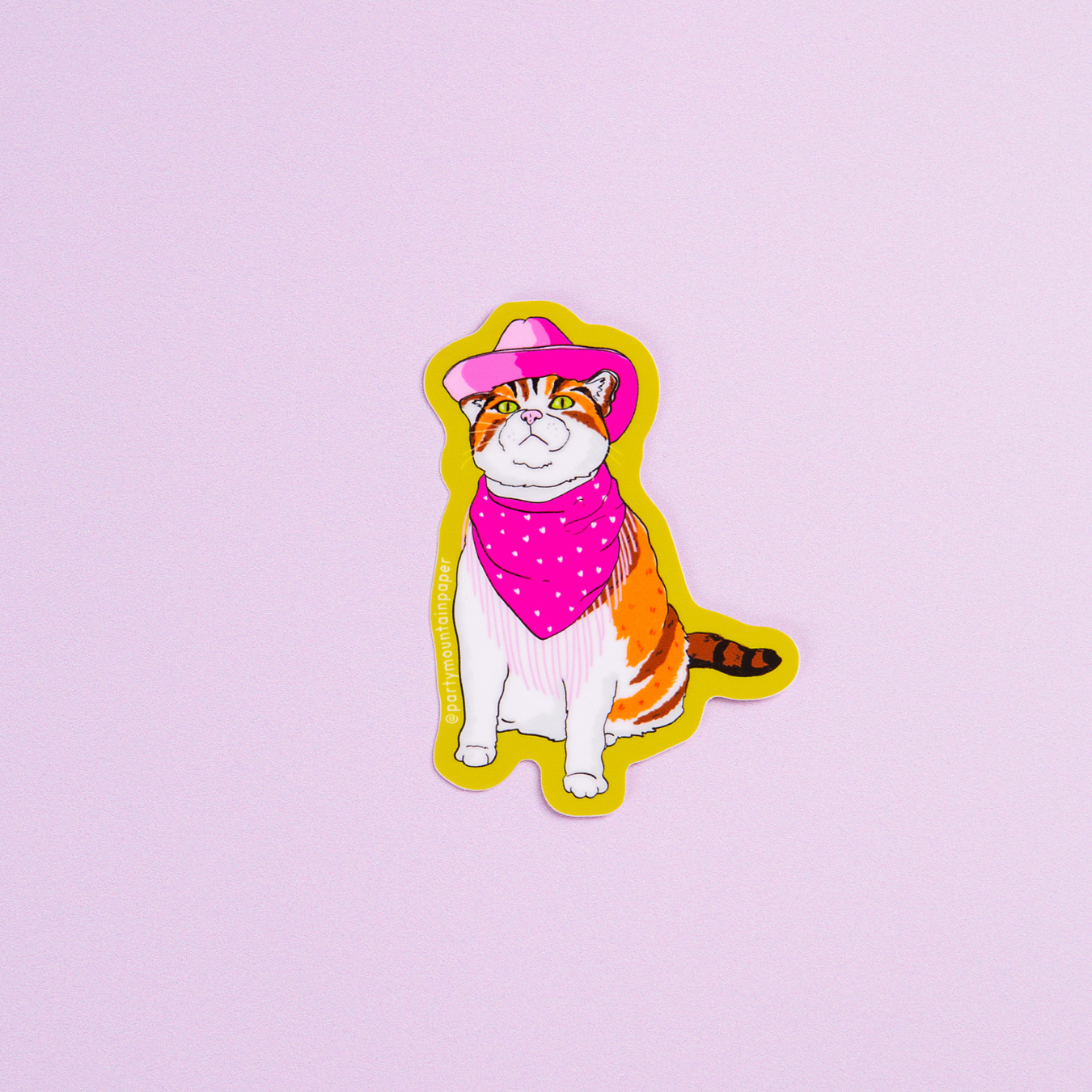 Party Mountain Paper co. - Wholesale Phone & Laptop Stickers - Cowboy Cat Sticker2