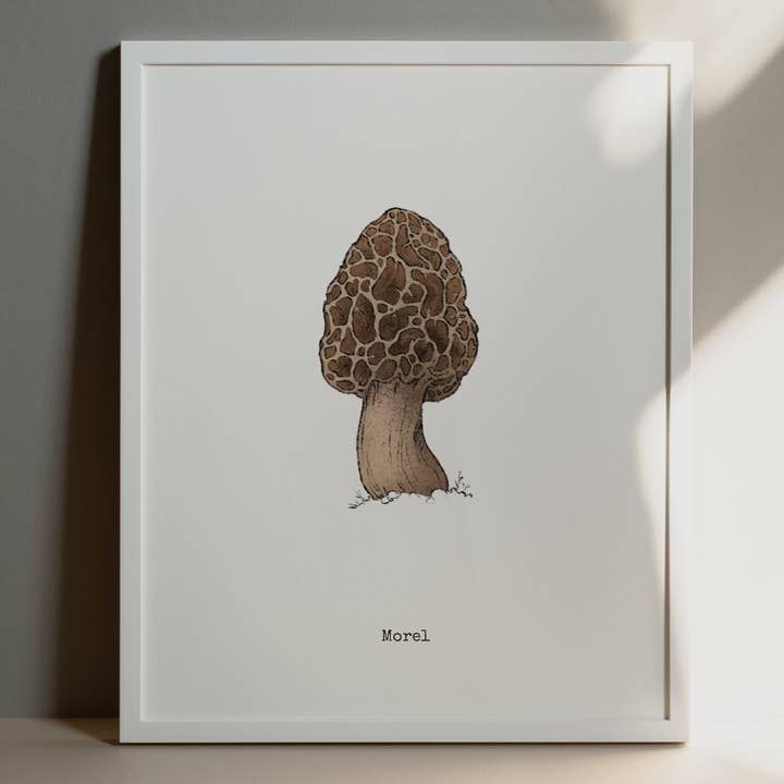 The Ugly Cat Studio - Wholesale Art Print - Morel Mushroom - Botanical Art Poster Print