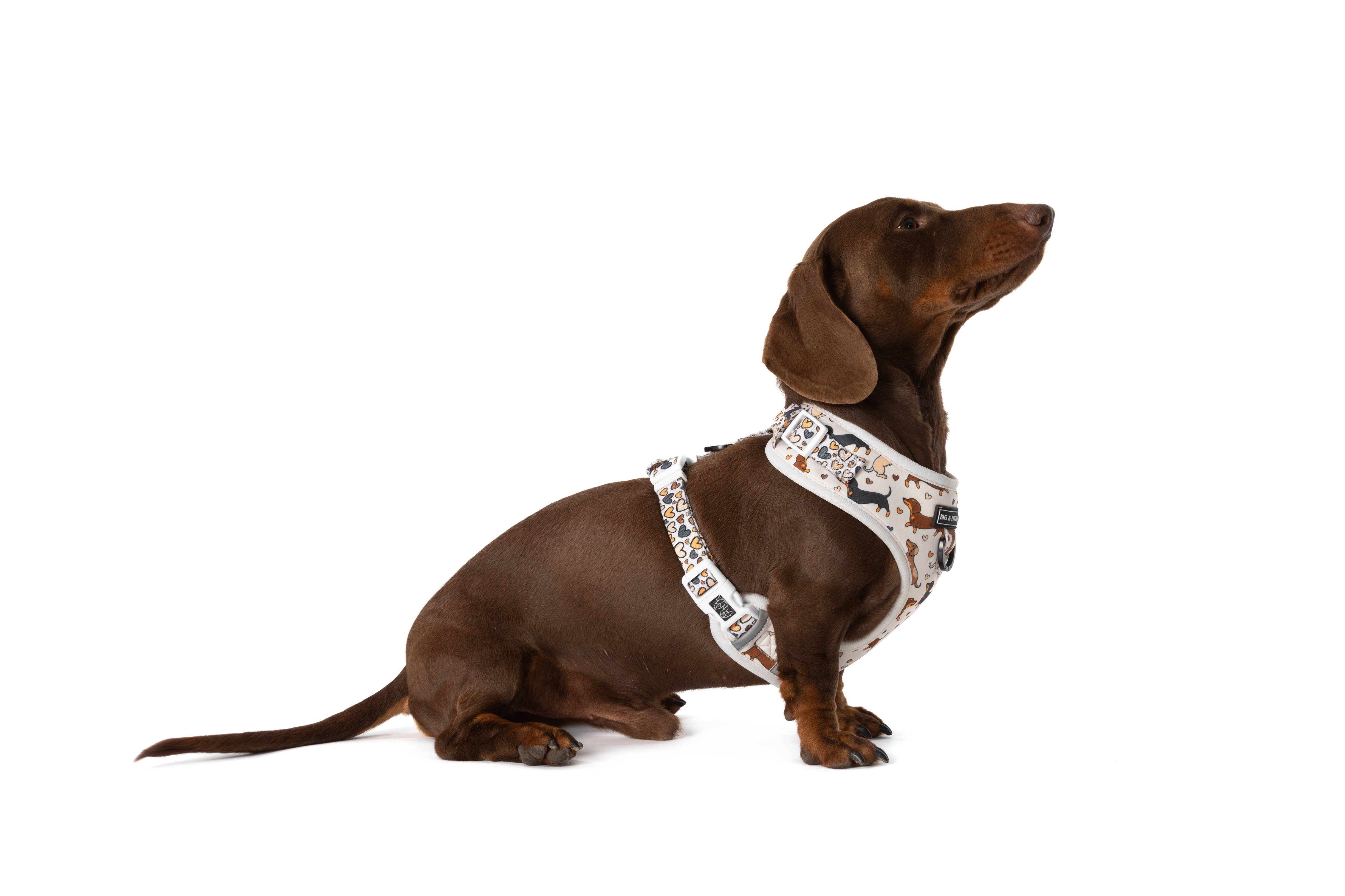 Big and Little Dogs - Wholesale Pet Harness - Dog - ADJUSTABLE DOG HARNESS: Dashie Lovers9