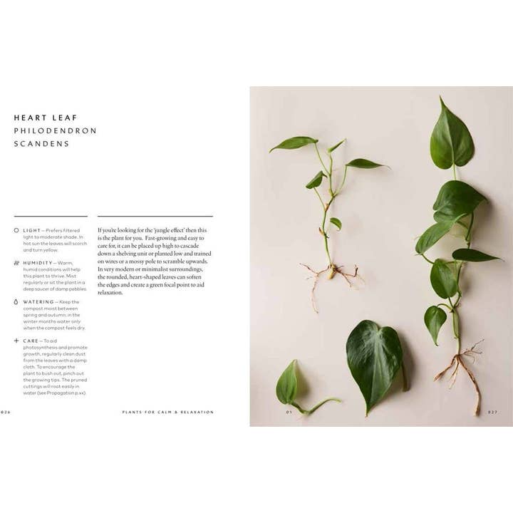 Hachette Book Group - Wholesale Home & Garden - The Healing Power of Plants By Fran Bailey8